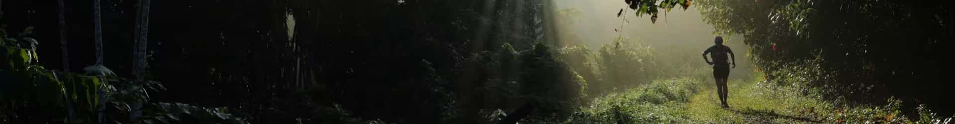 Malaysia Ultra-Trail by UTMB banner ambilight